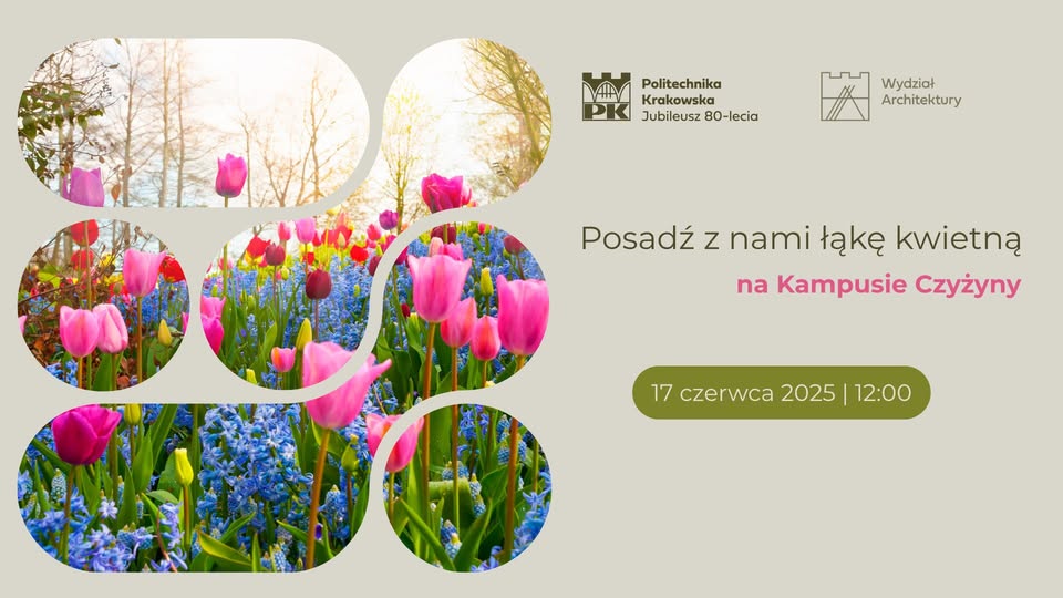 Łąka kwietna na kampusie Czyżyny